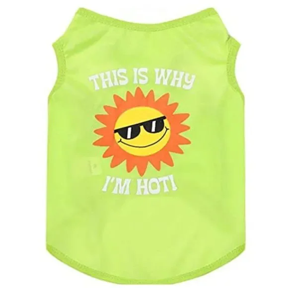2/$10; 4/$15 Last One! NWT, Neon Green “I’m Hot” Sunny ☀️ Little Pet Tee: small - Picture 1 of 3